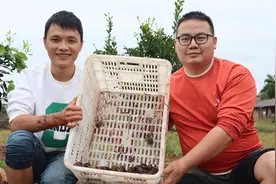 田里最近出现了大量小龙虾，超娃拿着网子下田就开干，准备加个餐视频封面