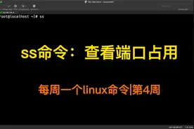 ss 命令：查看服务是否启动成功（每周一个linux命令）视频封面