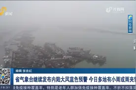 山东继续发布内陆大风蓝色预警，淄博、潍坊等地有小雨或雨夹雪视频封面