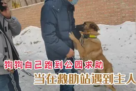 狗狗走失跑到公园求助，当和主人再次相遇，狗狗激动给主人拥抱！视频封面