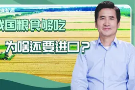 我国粮食够吃为啥还要进口？郑风田：调剂和战略性调整很重要视频封面