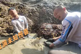 你永远想象不到这样抓鱼有多快乐，就像开盲盒一样充满了未知惊喜视频封面