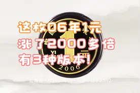 2006年的1元硬币，涨了2000多倍，有3种不同版本找找看