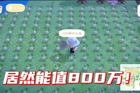 【动物森友会】现在热门投资是大头菜？据说100颗能还掉800万房贷视频封面