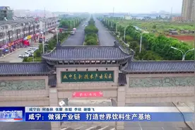 咸宁：做强产业链 打造世界饮料生产基地视频封面