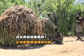 原始部落是怎么为孩子建造婚房的？3小时建造可住3个月，太强了视频封面