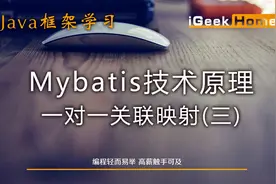 3.4 Mybatis技术原理一对一关联映射（三）视频封面
