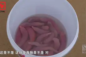 鲁菜中的海肠原来长这样！一起去烟台海边挖海肠！视频封面