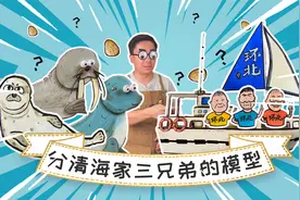 海豹、海狮、海象，你能分清吗？戳视频，模型带你摆脱脸盲！视频封面