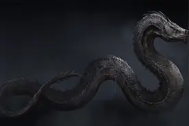 能进化成龙的动物视频封面