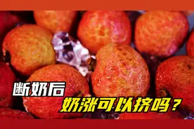 断奶后奶涨可以挤吗？视频封面