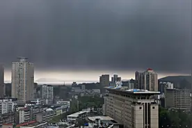 阵风9级！武汉发布雷雨大风黄警，中心城区将受雷雨天气影响视频封面