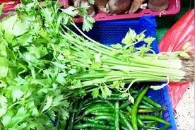 芹菜叶是个宝，丢掉可惜了，教你个特色吃法，鲜嫩爽口，给肉不换视频封面