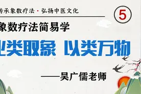 05 比类取象 以类万物 象数疗法简易学-吴广儒视频封面