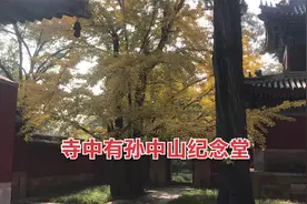 北京香山公园著名景点“碧云寺”视频封面