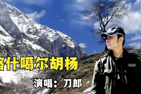 刀郎这首《喀什噶尔胡杨》有多少人听过？那沧桑的嗓音已成经典！视频封面