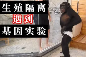 历史荒唐人和动物的实验说明基因实验必须经过伦理委员会的审查视频封面