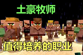我的世界：牧师是土豪职业，第2个适合没钱的萌新，赶快培养起来视频封面
