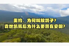 爽约，为何叫放鸽子？袁世凯死后为什么要葬在安阳？视频封面