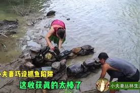 农村小夫妻去河边抓鱼，用石头巧设抓鱼陷阱，没想大鱼自动送上门视频封面