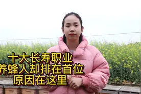 十大长寿行业人，为什么养蜂会排在榜一呢？蜂妹来揭秘关键所在视频封面