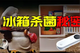 冰箱细菌的噩梦，除味杀菌的终极组合，臭氧加负离子视频封面