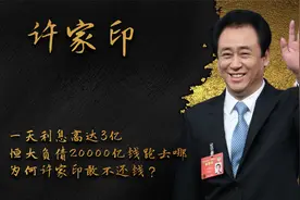 一天利息高达3亿，恒大负债20000亿钱跑去哪，为何许家印敢不还钱视频封面