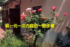 解一元一次方程的一般步骤