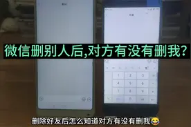 删除好友后如何知道对方删没删你 把对方删了怎么知道有没有删我视频封面