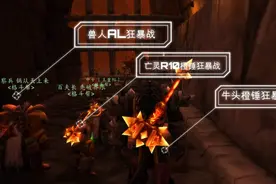 魔兽怀旧服：狂暴战斯坦索姆100G比拼伤害，橙锤大战AL视频封面