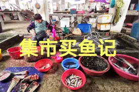 田田集市买了什么鱼，肉多鱼刺少，老人小孩都可以放心吃视频封面