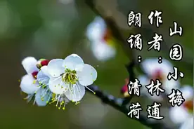 咏梅诗的千古名作，世称梅妻鹤子的宋代林逋《山园小梅》诵读赏析视频封面