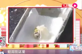 男子吃番石榴后牙痛难忍，牙医一检查，一颗蛀牙里竟然长出了果苗视频封面