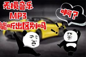很多人无法分辨《无损与高品质MP3》来试一试你是否可以！视频封面