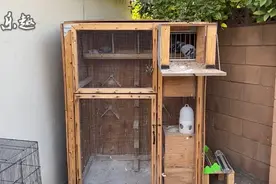 鸽舍建造：精致小鸽舍，想养10来只鸽子的朋友可以借鉴一下
