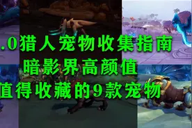 魔兽世界，9.0猎人宠物收集指南，9款最值得收藏的高颜值宠物视频封面