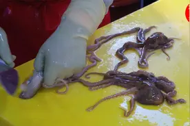 这才是韩国正宗生吃章鱼，看完制作过程，感觉以前吃的都是假的！视频封面