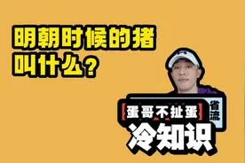 明朝的猪叫什么？视频封面