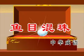 学成语写好文——鱼目混珠视频封面