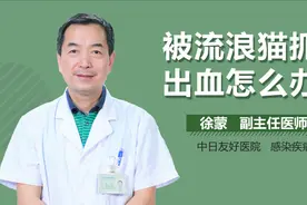 被流浪猫抓伤出血怎么办？视频封面