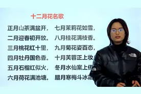 小学语文：1年12个月的代表花分别是什么，你能记住几个？视频封面