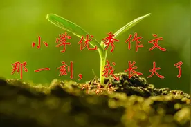 小学优秀作文《那一刻，我长大了》丈夫许国，实为幸事！视频封面