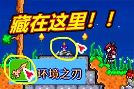 【呱呱菌】最怂战士6：环境之刃加伏魔剑！泰拉瑞亚灾厄视频封面
