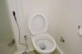 马桶使用后冲水时，盖子到底要不要盖上？看了视频终于清楚了视频封面
