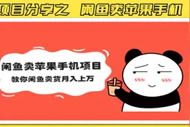 项目玩法分享之闲鱼卖苹果手机项目，教你闲鱼卖货视频封面