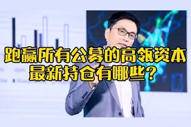 跑赢所有公募的高瓴资本，最新持仓有哪些？视频封面