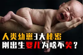 人类幼崽3大秘密，为什么婴儿出生会大哭，而不是大笑？视频封面
