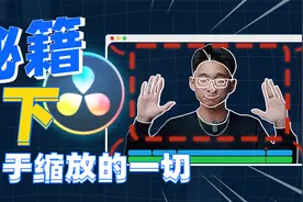 【秘籍】达芬奇缩放的奥秘！89%的人都不知道的缩放技巧！视频封面