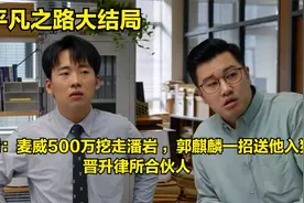 平凡之路大结局：麦威500万挖走潘岩 郭麒麟送他入狱 晋升合伙人视频封面