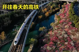 高铁穿越梅林构成春天绝美画卷，合肥市民玩疯了视频封面
